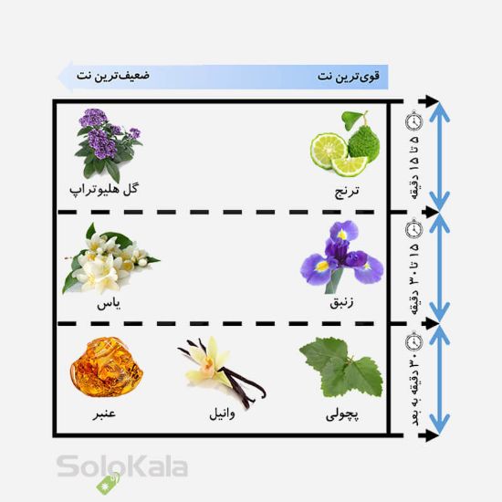 ادوپرفیوم زنانه ورسای مدل فیوره FIORE